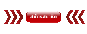 บทความ